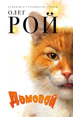 экранизаия книги Домовой роя