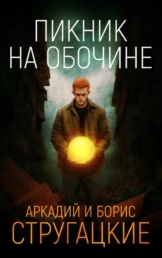 Пикник на обочине