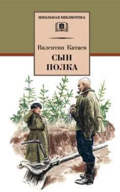 Сын полка